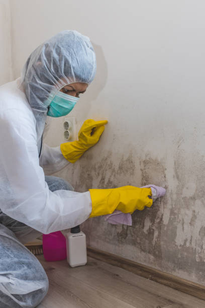 Best Mold Prevention Services  in Green Bay, WI