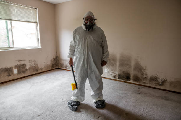 Best Environmental Consulting for Mold Prevention  in Green Bay, WI
